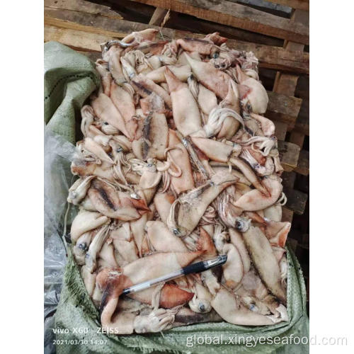 China New arrival Frozen squid Todarodes Pacificus squid 60-80g Supplier